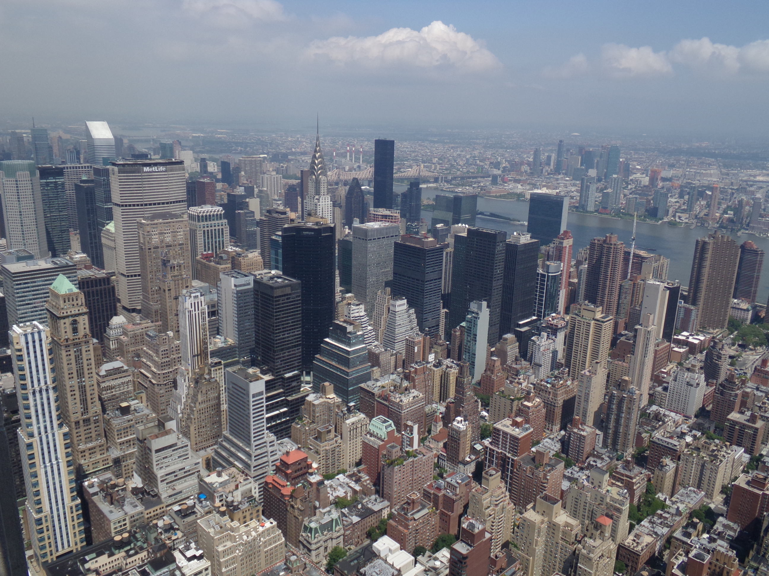NY View