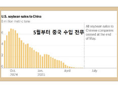 미국산 대두 중국이 수입 안해