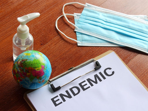 "코비드 끝"... 이제 코로나 걸리면?