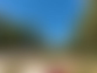 취업에 4년제 산업대학이 유망