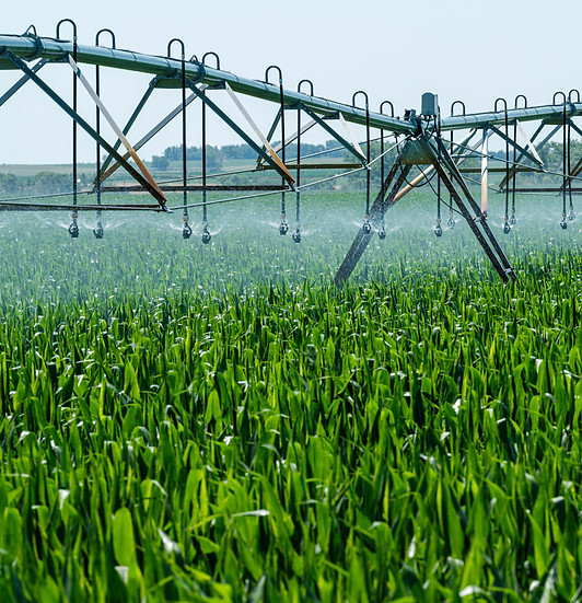 Water-Irrigation-System.jpg