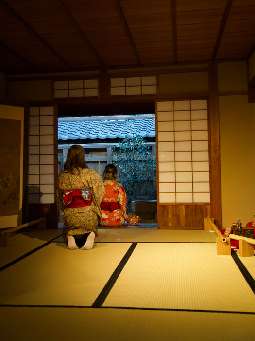 Osaka Museum of Housing and Living