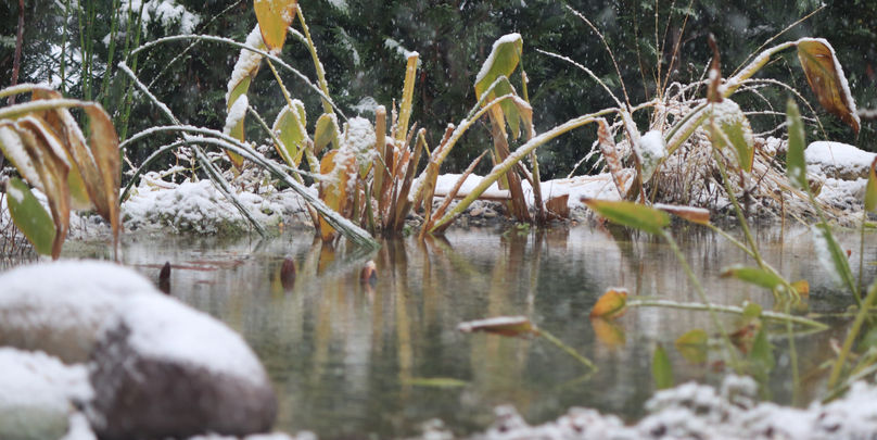 Laghetto ornamentale in inverno dopo una nevicata