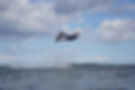 Kitesurfer laver et unhooked trick