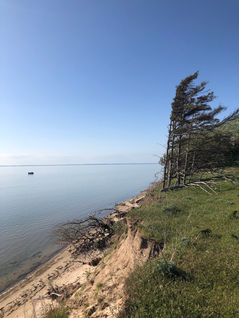 Aussicht auf die Steilklippen von der Insel Enehøj.