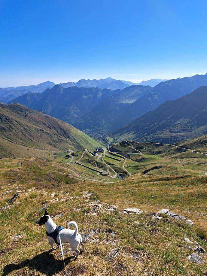 Neïko genießt die weiten Landschaften des Cirque du Lys oberhalb von Cauterets 🐾