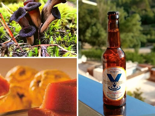 Montanejos: Jornadas Gastronómicas de Seta y Caza 2021