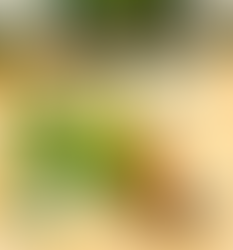 Цветята на Бах и техният ефект