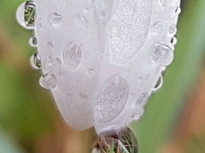 Няколко думи...