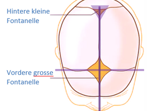 Notre corps physique et énergétique