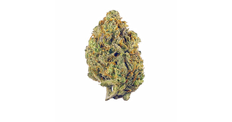 Casey Jones – 7g Premium Cannabis Flower