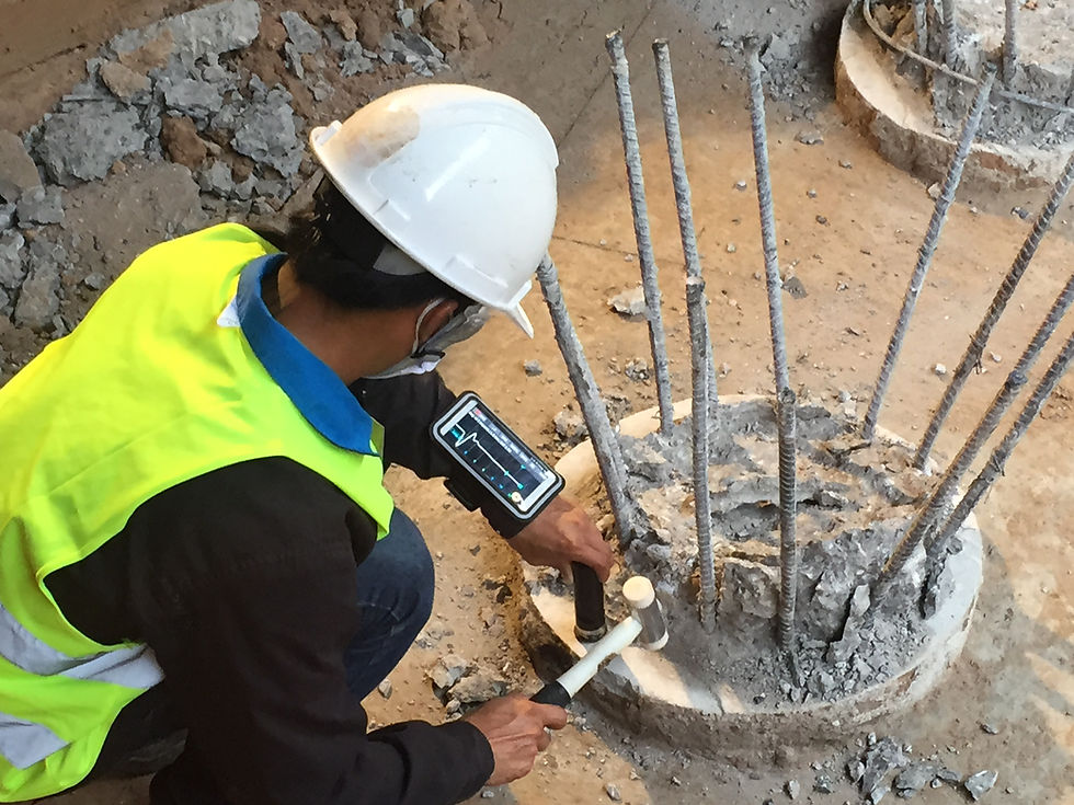 Seismic Integrity Test