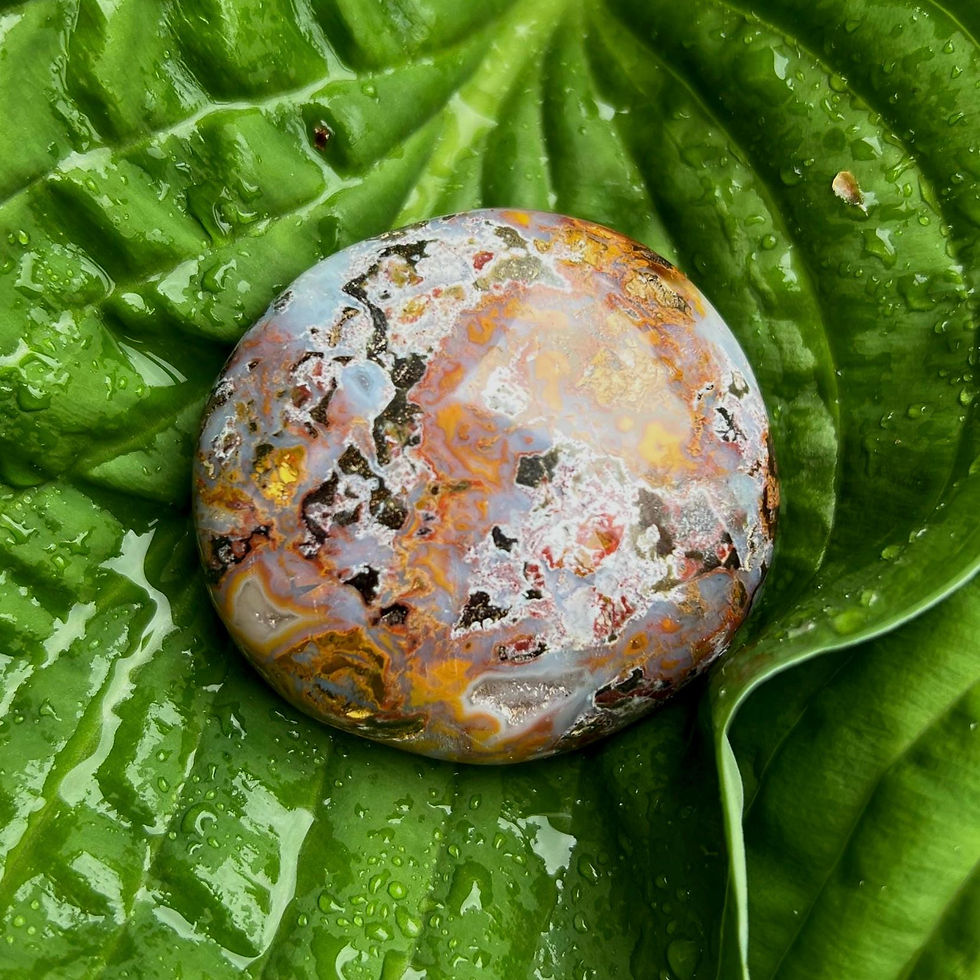 Cosmic Jasper Palm