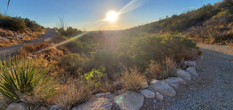 Carlsbad New Mexico