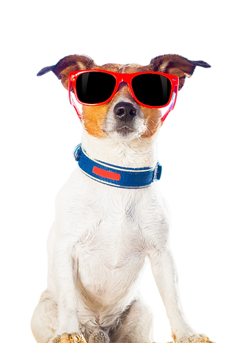 Carlsbad Heating and Cooling