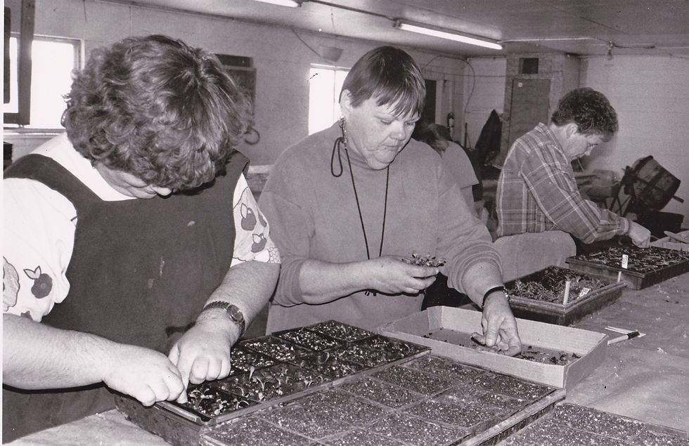 Planting Room