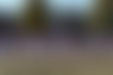 11/19 Bチーム若草決勝トーナメント一回戦