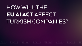 How will the EU AI Act Affect Turkish Companies?