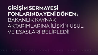 Girişim Sermayesi Fonlarında Yeni Dönem: Bakanlık Kaynak Aktarımlarına İlişkin Usul ve Esasları Belirledi