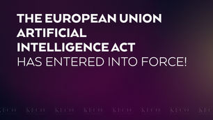The European Union Artificial Intelligence Act Has Entered into Force!