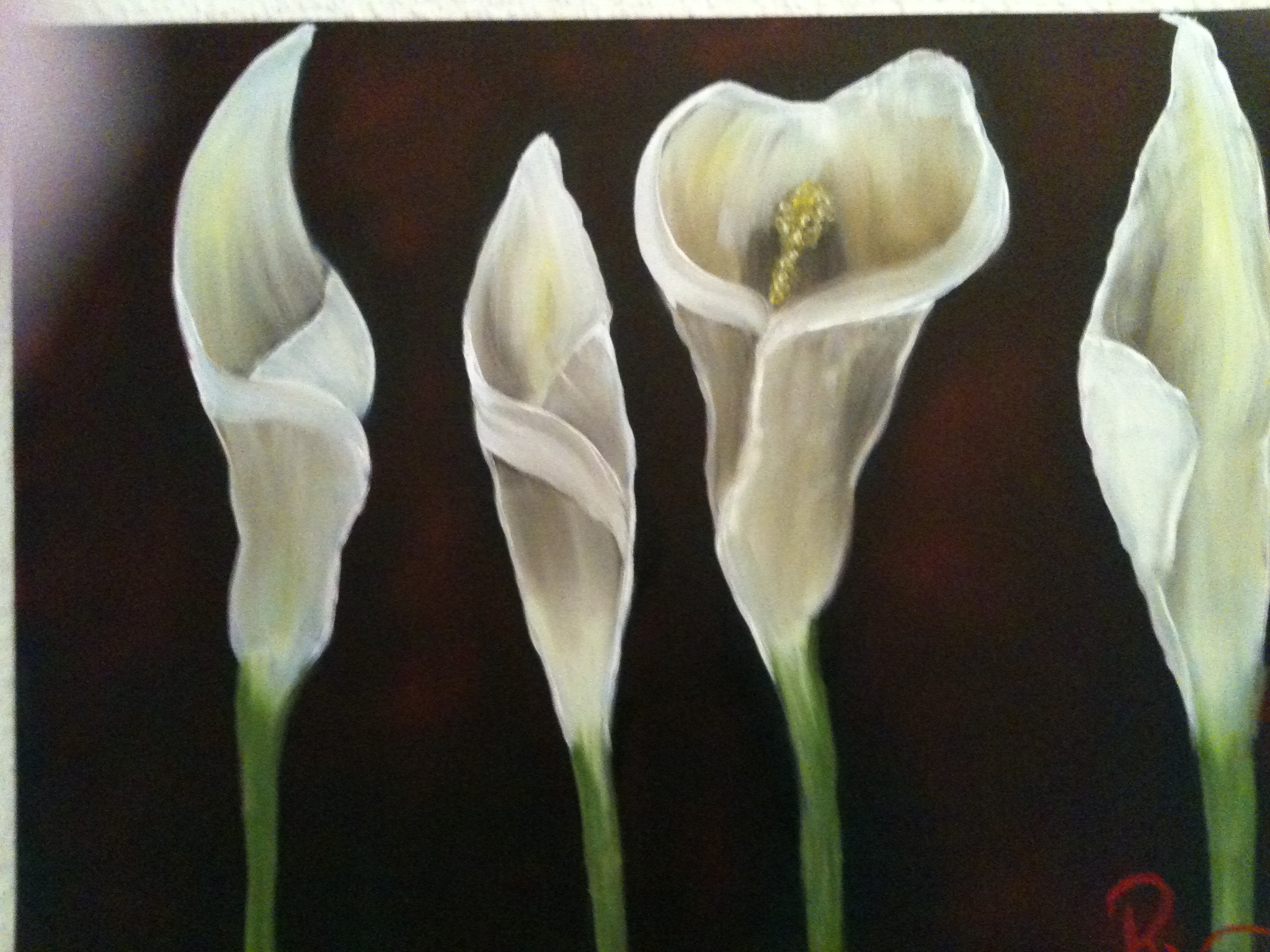 Calla