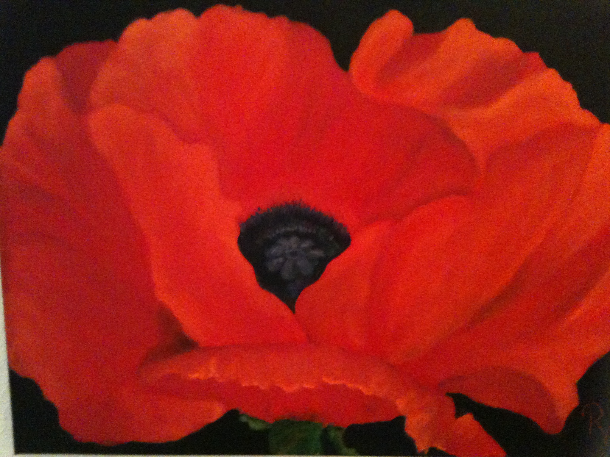 Mohn