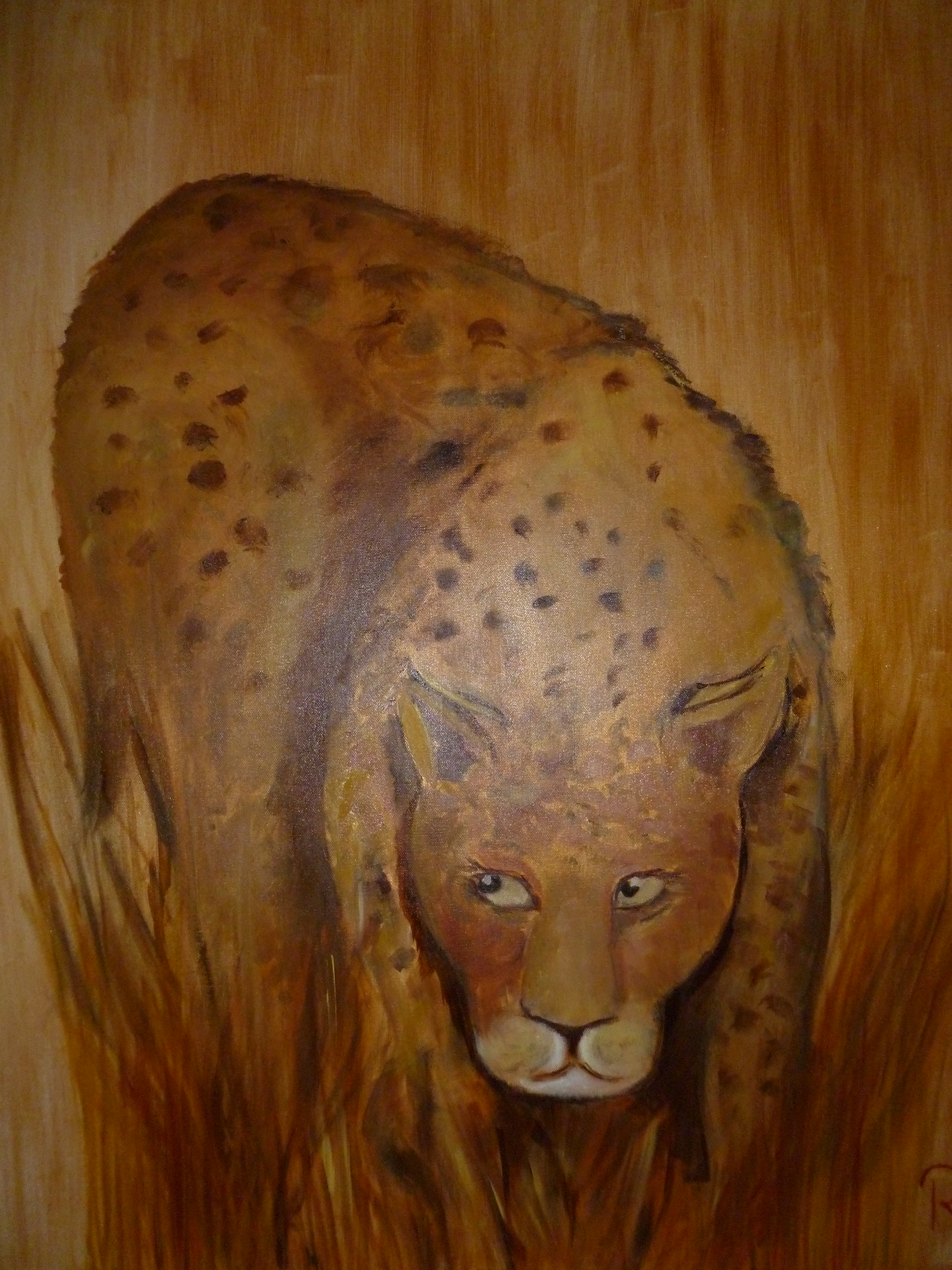 Gepard