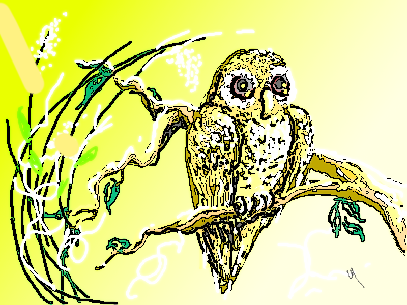 BUHO EN TINTA.png