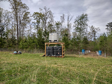 IMG_20220417_161732013_HDR.jpg