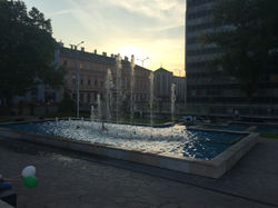 IMG_1474