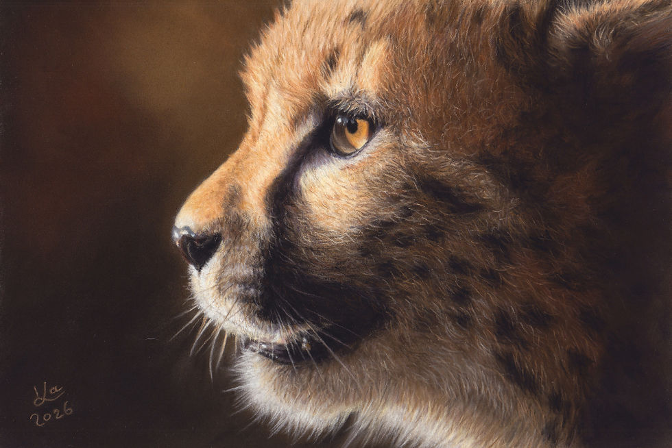 Karin Kiessling,Cheetahs eye,21x30