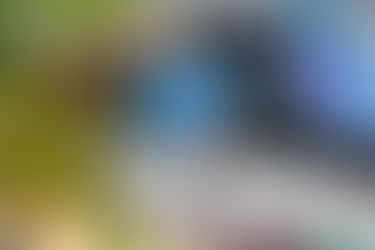 PREMIJERA FILMA O TROKUTOJ NEET AKADEMIJI DANAS PREDSTAVLJENA 