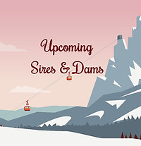 Untitled document (1)_edited.jpg