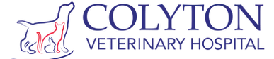 colyton_logo_website-e1550288385439.webp