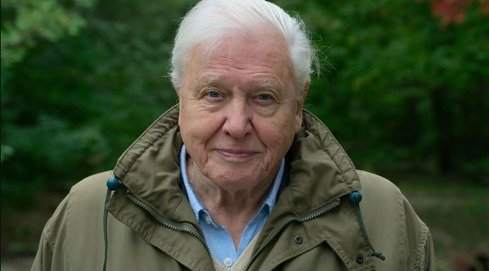 Sir David in NETFLIX's documentary called "A Life on Our Planet"