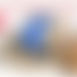 Gửi Hàng Đi Nhật Express Và Economy