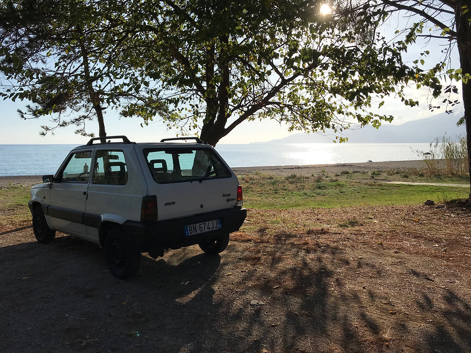 IMG_4434.jpeg