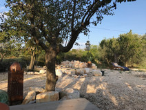 IMG_4357.jpeg