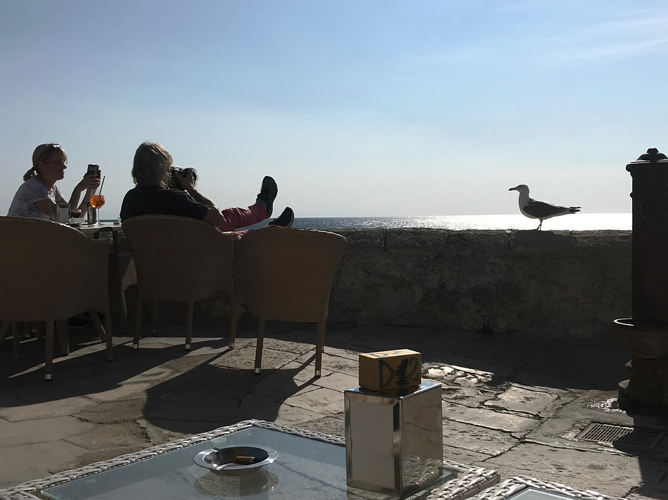 IMG_4529.jpeg
