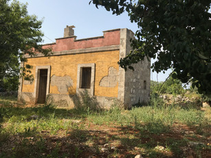 IMG_1479.jpeg