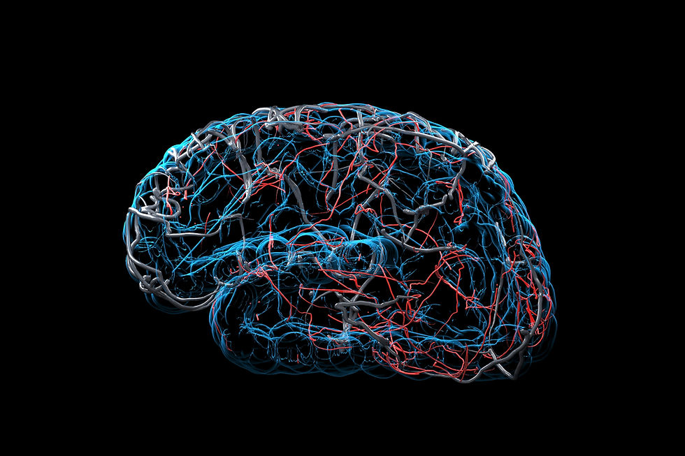 A 2050 Vision for UK Neuromorphic Computing
