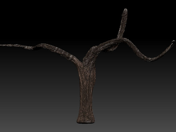 tree.jpg