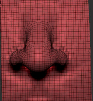 poligons topogtaphy.png