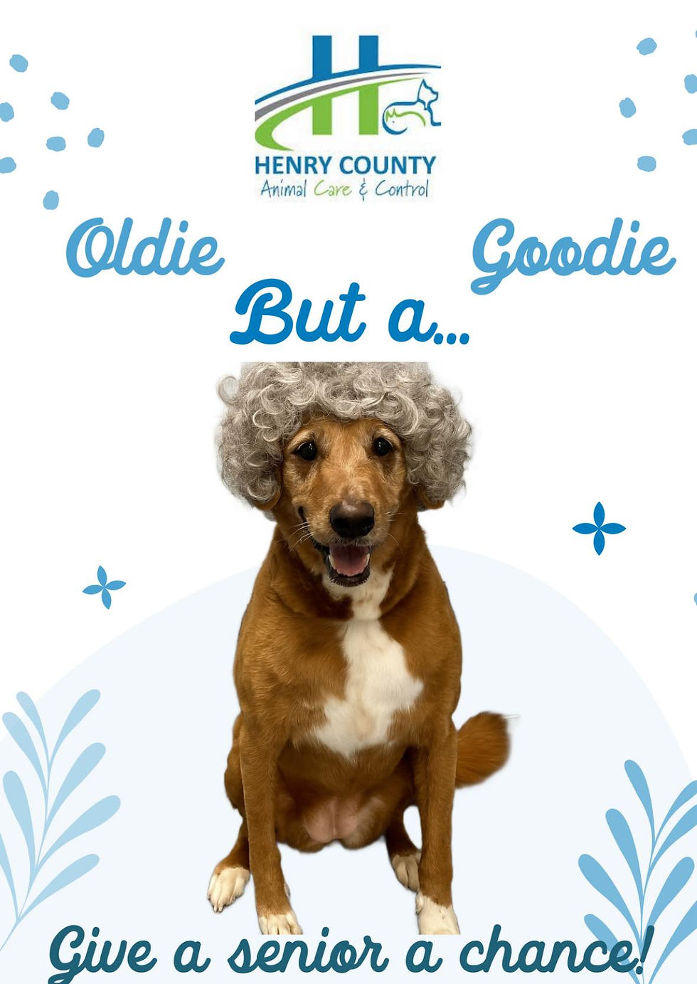 Adopt a Senior! 