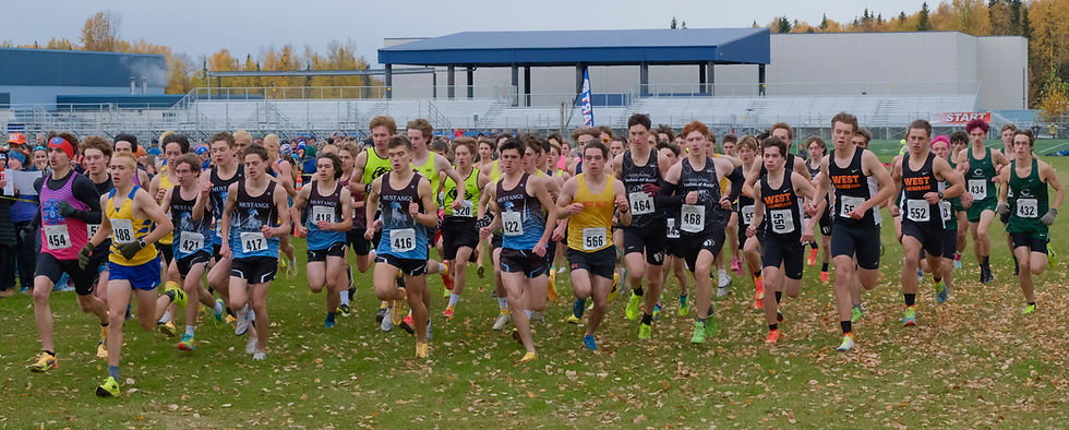 High school runners start the Division I boys Alaska State XC Championships at Anchorage's Bartlett High School trails, Saturday, Oct. 3, 2026. (Klas Stolpe / Juneau Independent)