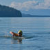 Lifelong friends further bonded by goal of English Channel swim 