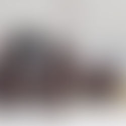 Juneau Capitals youth skaters place second at tournament