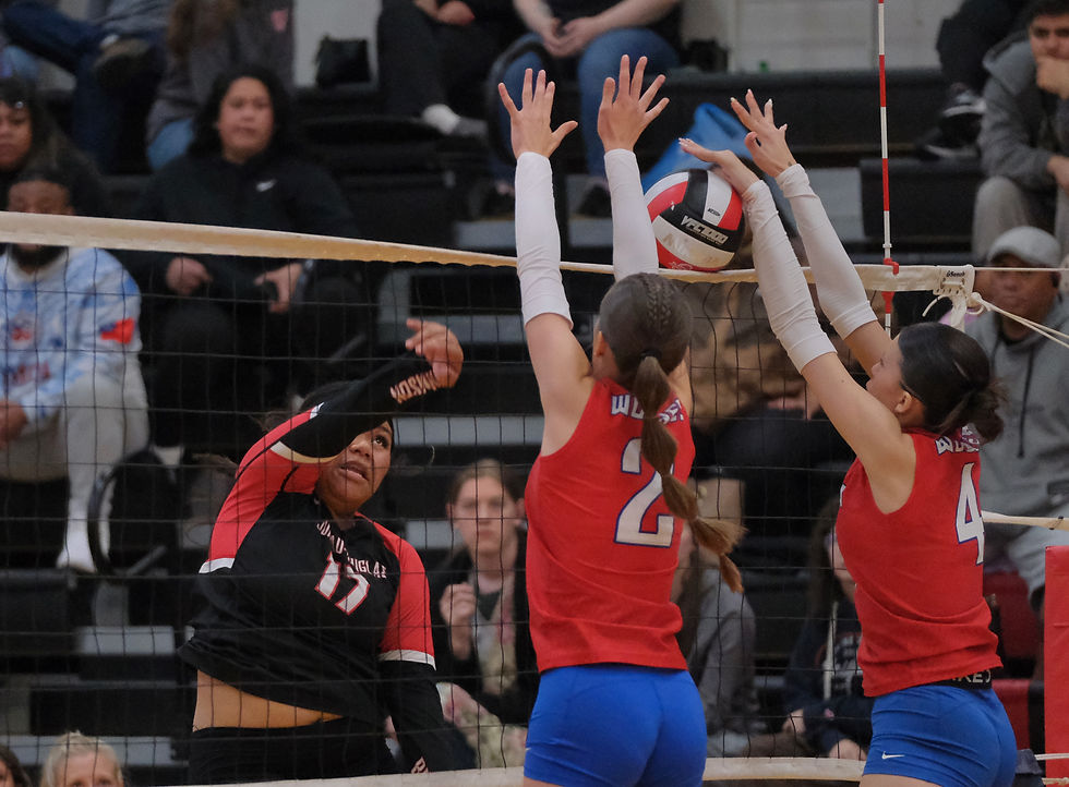 Juneau-Douglas High School: Yadaa.at Kalé senior Liliane Veikoso (17) spikes a shot against Sitka freshmen Piper Vaughn (2) and Eva Miller (4) during the Crimson Bears' 3-0 (25-15, 25-21, 25-17) match win over the Sitka Wolves at the George Houston Gymnasium on Friday, Aug. 21, 2026. (Klas Stolpe / Juneau Independent)