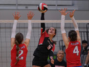 Crimson Bears spike Wolves in season opener