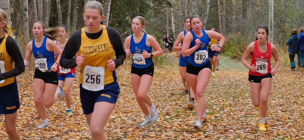 Petersburg freshman Devyn Flint (200), freshman Arya Holmgrain (201), senior Maria Toth, junior Zia Hulebak (202) and Wrangell freshman Erika Jabusch (265) run in a pack of runners up a hill during the Division III girls Alaska State XC Championships at Anchorage's Bartlett High School trails on Saturday, Oct. 3, 2026. (Klas Stolpe / Juneau Independent)